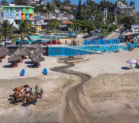 Bucerias Real Estate For Sale Horses Image