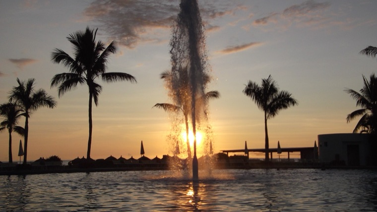 Palm trees silhouetted against a Riviera Nayarit sunset