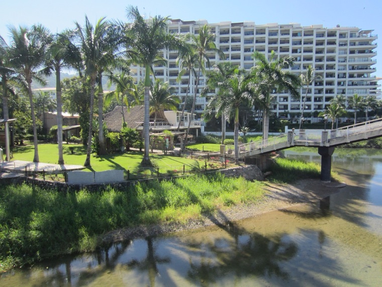 Lush tropical waterfront with palms near Banderas Bay, Puerto Vallarta